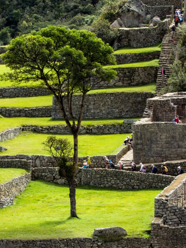 Machu Picchu- Peru