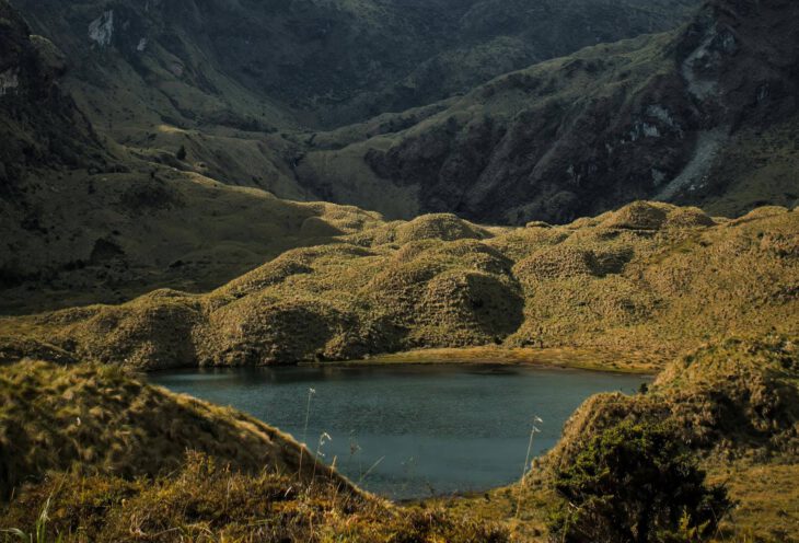 8 Tage Galapagos Kreuzfahrt