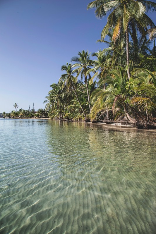 Bocas del Toro 3 1