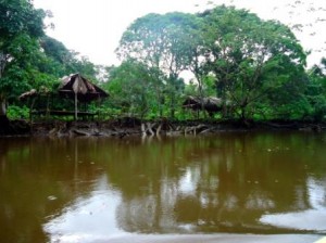 Orinoco Delta Venezeula 2012 0911 300x224 1