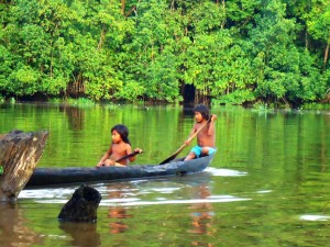 Orinoco Venezeula 2012 117 300x225 1