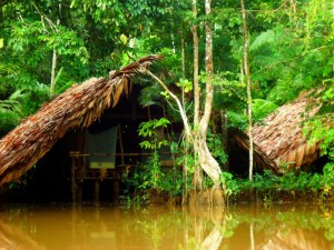 Orinoco Venezeula 2012 144 300x225 1