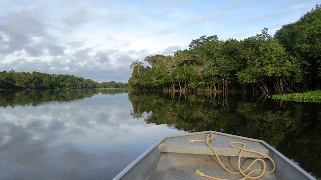 amazonas ecuador