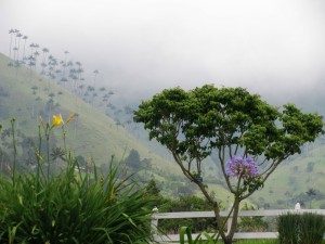 valle de cocora