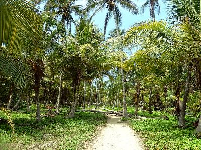 wege tayrona Nationalpark