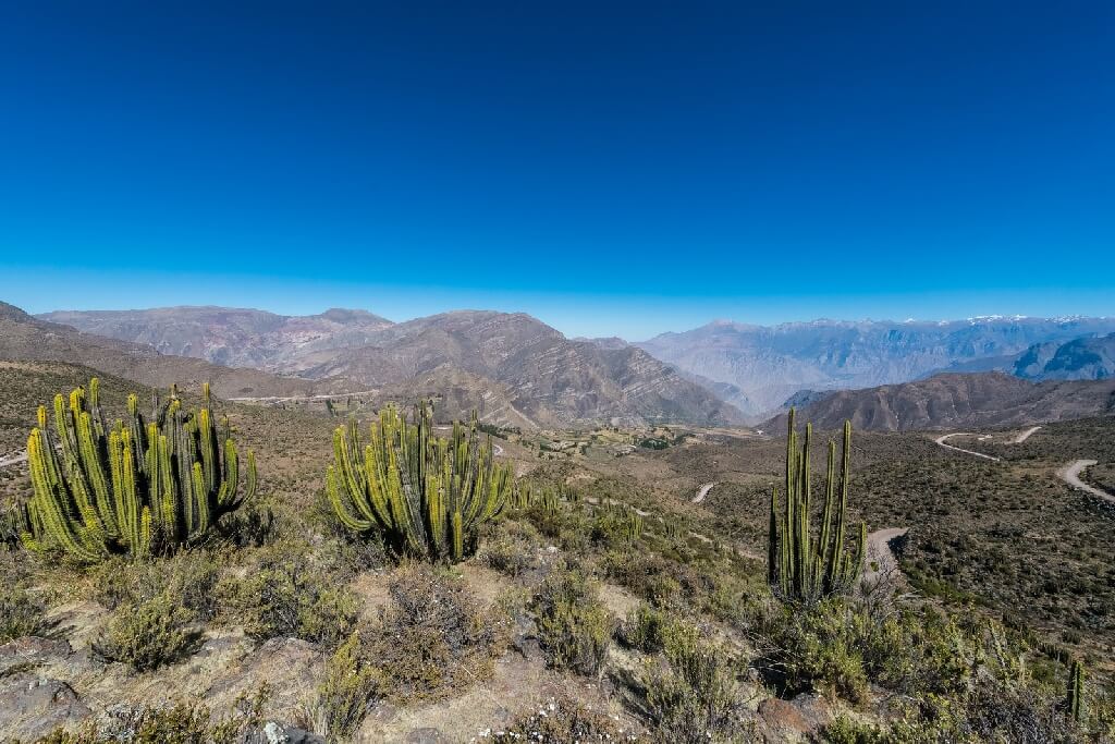 Colca Canyon - Peru Sehenswürdigkeit