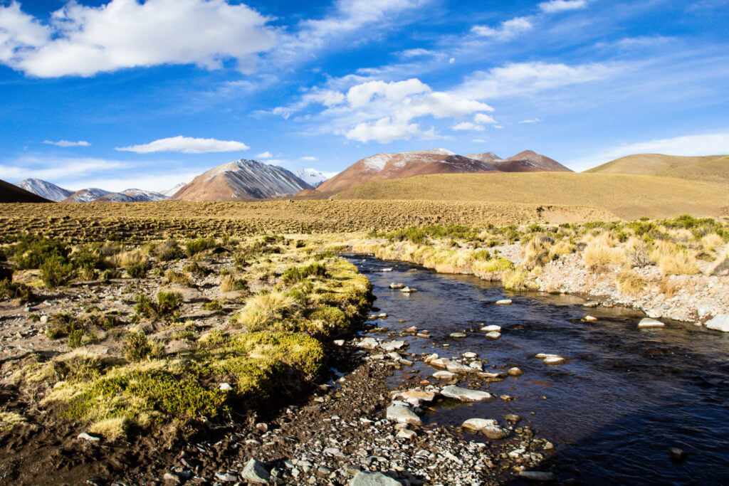 12503956 a desert on the altiplano of the andes in bolivia