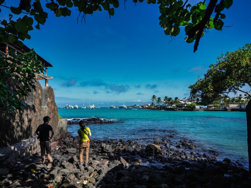 Galapagos-insel