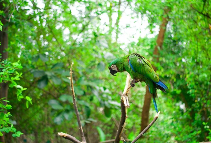 Ecuador – Kulturen am Äquator