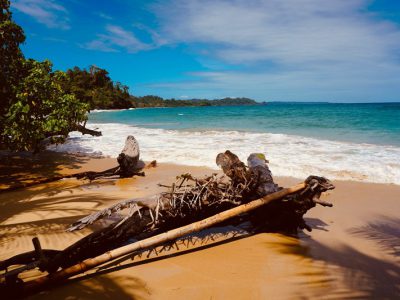 Bocas del Toro