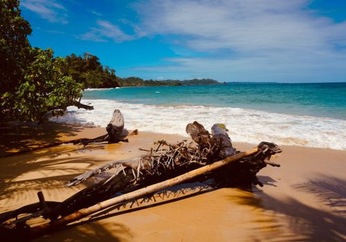 Bocas del Toro